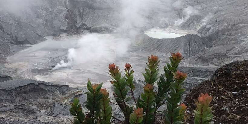 Jakarta: Volcano, Tea/Rice Fields, Hot Spring, Local Food - Why Tangkuban Parahu and Ciater Hot Springs make this day trip special