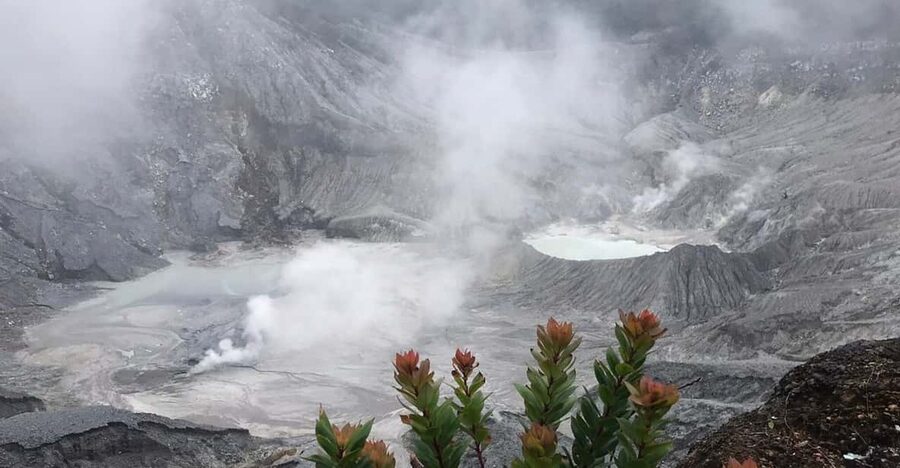 Jakarta: Volcano, Tea/Rice Fields, Hot Spring, Local Food - Tangkuban Parahu volcano crater, the real drama is up close