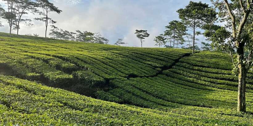 Jakarta: Volcano, Tea/Rice Fields, Hot Spring, Local Food - Ciater Hot Springs and massage, what the soak is really like