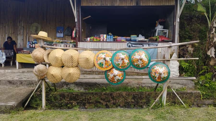 Jatiluwih (UNESCO Site) 2-Hour E-Bike Cycling Tour - Bottom line: should you book Green Bikes Bali for Jatiluwih?