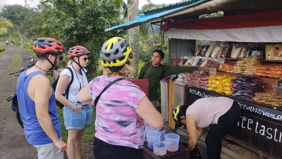 Jatiluwih (UNESCO Site) 2-Hour E-Bike Cycling Tour - The route through jungle, bamboo, villages, and terraces
