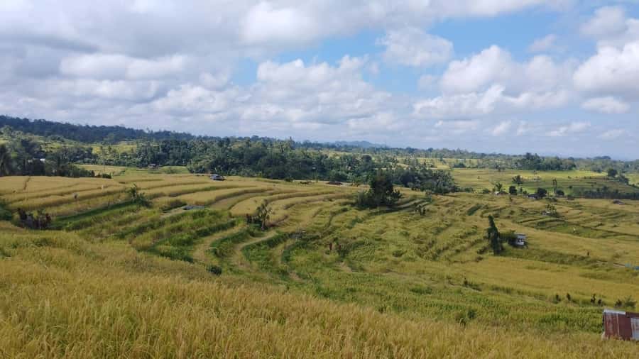 Jatiluwih (UNESCO Site) 2-Hour E-Bike Cycling Tour - Who this tour fits best, and who should skip it