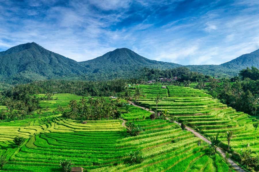 Jatiluwih (UNESCO Site) 2-Hour E-Bike Cycling Tour - From the Batukaru Temple area to Jatiluwih: how the timing works