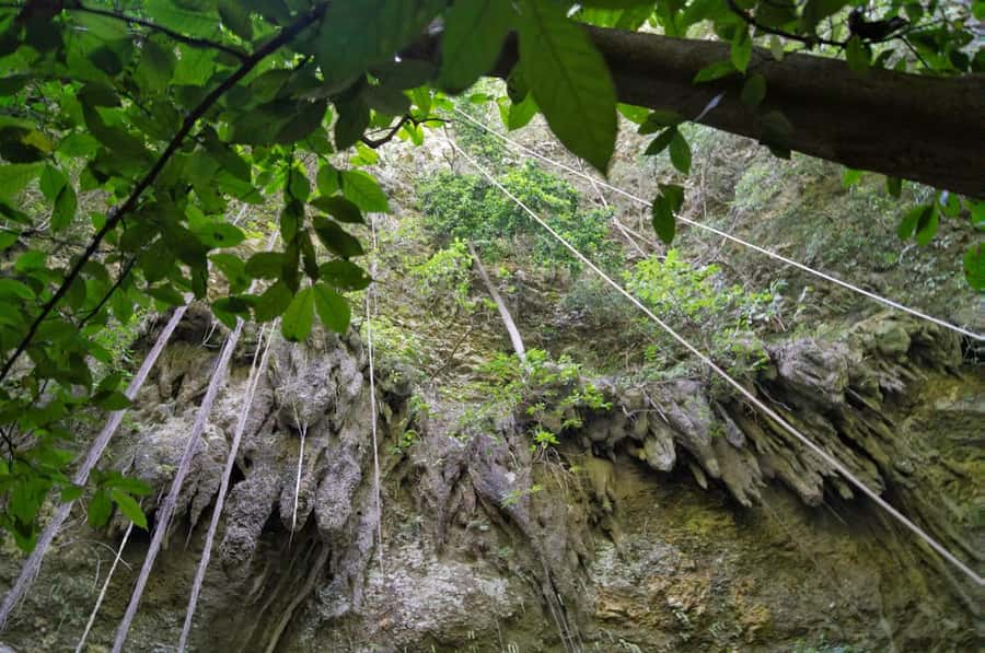 jomblang cave & pindul cave including guides, lunch & ticket - Price and value: what you actually get for about $16