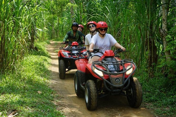 Jungle ATV Quad Bike Through Gorilla Face Cave - From the Taro base to rural Ubud: how the day unfolds