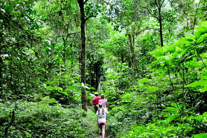 Jungle Trekking and Tamblingan Lake Canoeing in Bali Rainforest - Price and Value: What $70 Covers for a Private Jungle and Lake Morning