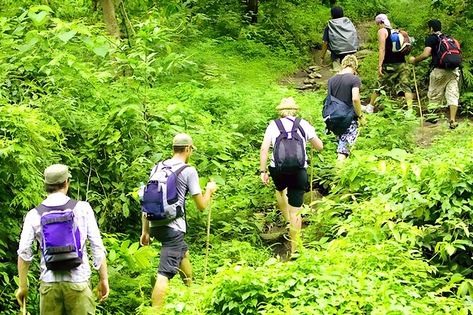 Jungle Trekking and Tamblingan Lake Canoeing in Bali Rainforest - Lunch, Bottled Water, and Why the Timing Actually Works