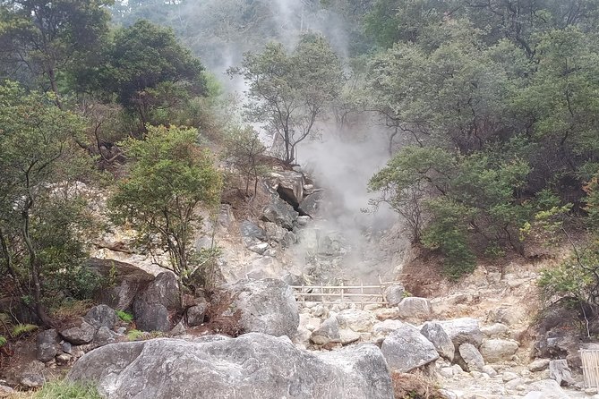 Kawah Putih tour - Day trip Ticket etc all including - Ciwidey Stop: Rice Terraces, a Village Stroll, and an Old Train Bridge