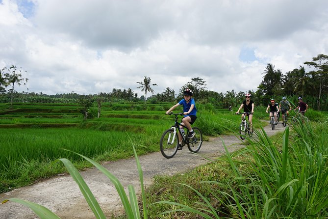 Kintamani Cultural and Nature Cycling Tour ( Manual Bike ) - Key things I’d bet on before you go