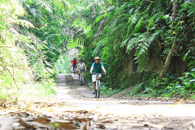 Kintamani Cultural and Nature Cycling Tour ( Manual Bike ) - Starting the Ride Near Abuan Kintamani: Villages, Not Just Scenery