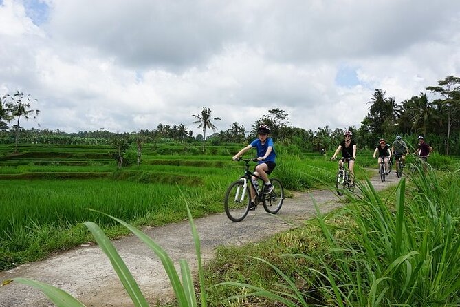 Kintamani Cultural and Nature Cycling Tour ( Manual Bike ) - Taro Village and Gunung Raung Temple: A Culture Stop With Depth