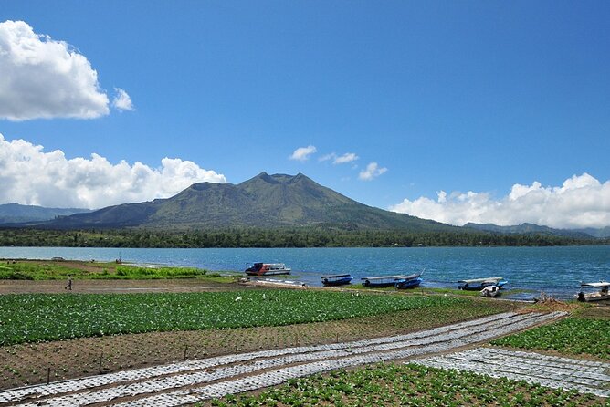Kintamani Lake & Volcano Tour - Kintamani Highlands: Mount Batur and Lake Batur Views, Plus Lunch Reality