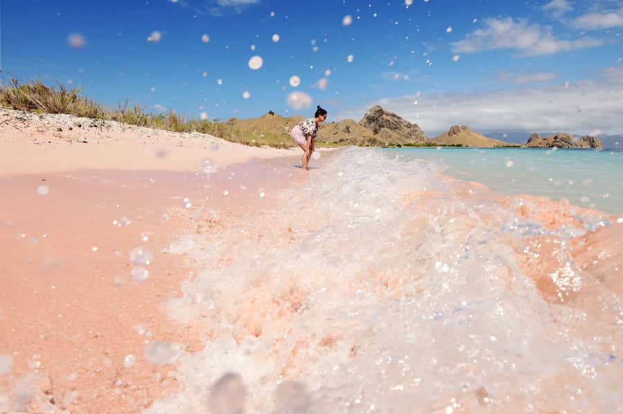 Komodo Island: Komodo Dragons & Islands Day Tour - Key highlights you should care about