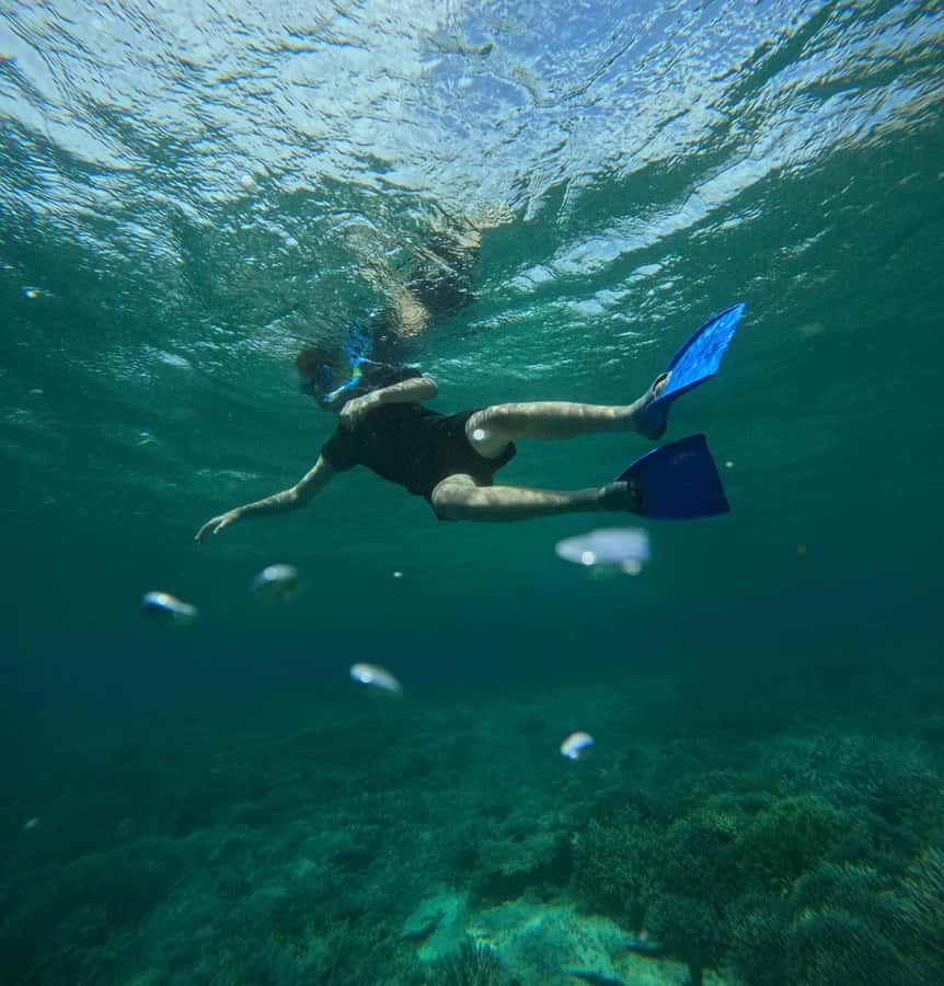 Labuan Bajo: 2D1N Komodo & Pink Beach Shared Boat Tour - Should You Book This 2D1N Komodo and Pink Beach Shared Boat Tour?