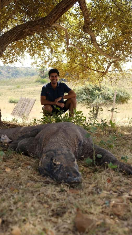 Labuan Bajo: 2D1N Komodo & Pink Beach Shared Boat Tour - Day 2: Padar Sunrise, Pink Beach Swim, and the Ranger Walk to Komodo