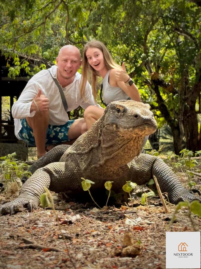 Labuan Bajo: 2D1N Komodo & Pink Beach Shared Boat Tour - Overnight on Board: Shared Cabins, Sleep Reality, and Boat Life