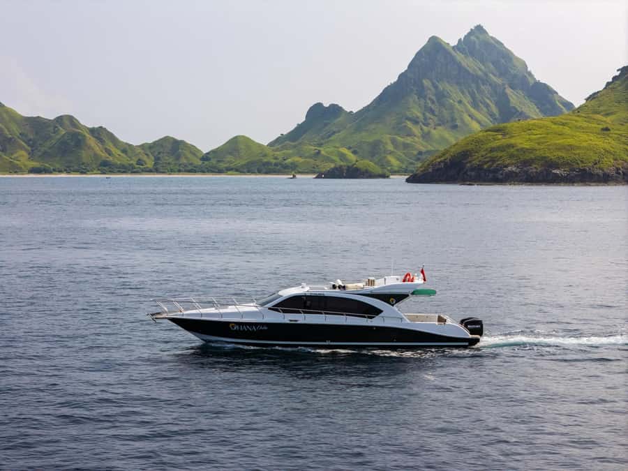 Labuan Bajo: Komodo National Park Full-Day Speedboat Tour - Why this Komodo day trip works as a greatest-hits circuit