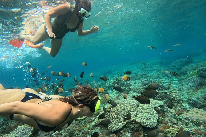 Lembongan Snorkeling at Manta Bay, Crystal Bay and Mangrove - The Manta-Ray Plan: How the Stops Work Together