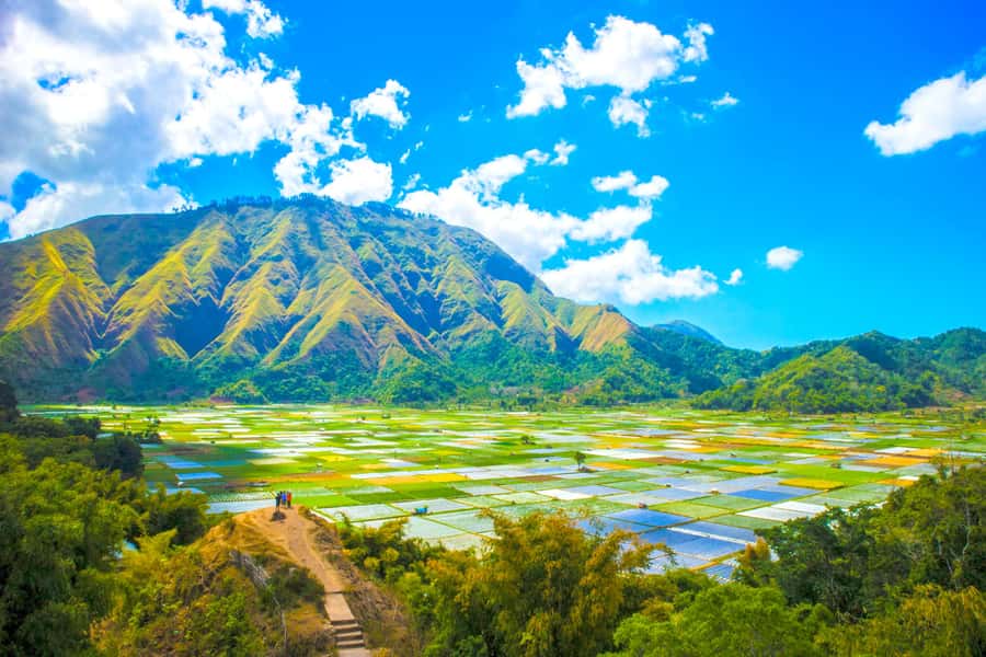 Lombok: Exclusive Sendang Gile, Tiu Kelep & Selong Hill Tour - Tiu Kelep hike: jungle stairs, wet stone, and real waterfall energy