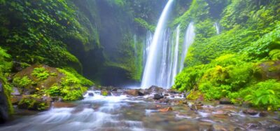 Exclusive Sendang Gile, Tiu Kelep & Selong Hill Tour