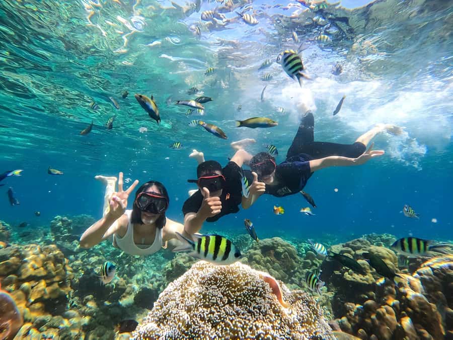 Lombok: Gili Nanggu, Sudak and Kedis Private Snorkeling Tour - A private snorkeling day that actually feels personal