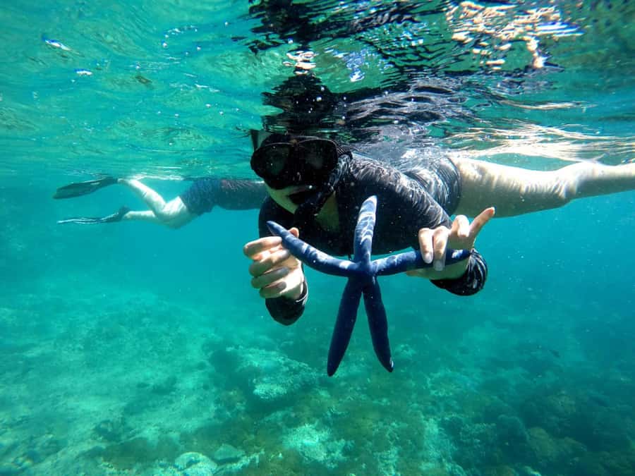 Lombok: Gili Nanggu, Sudak and Kedis Private Snorkeling Tour - Price and value: what you really pay for at $27