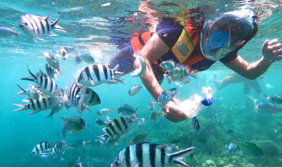 Lombok: Gili Nanggu, Sudak, & Gili Kedis Private Snorkeling - What You’re Really Buying: Three Gilis, One Private Schedule