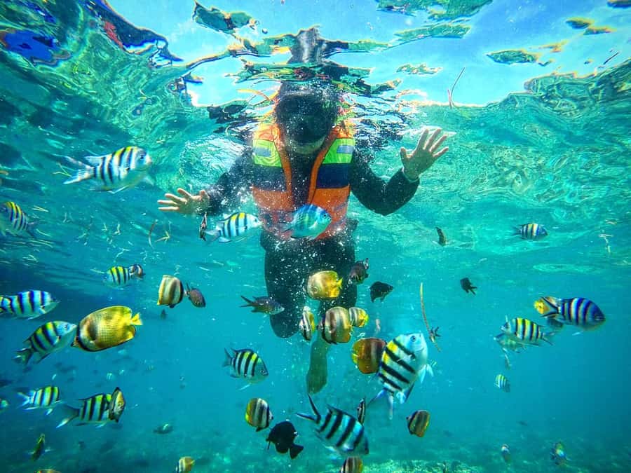 Lombok: Gili Nanggu, Sudak, & Gili Kedis Private Snorkeling - Getting There from Senggigi and Kuta Mandalika: Private Pickup That Works