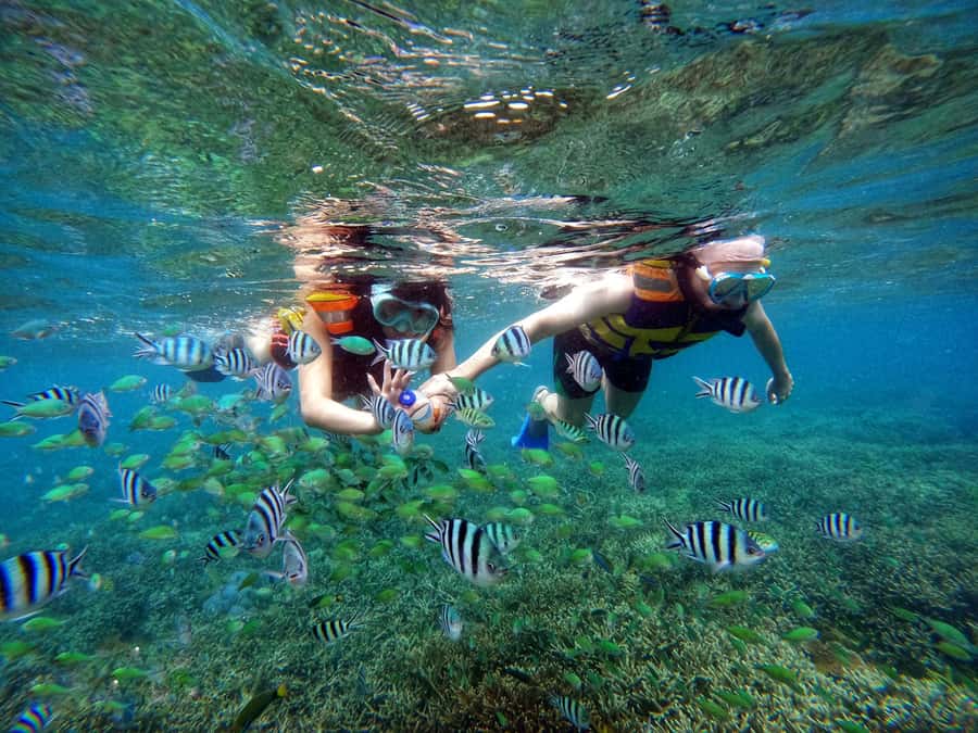 Lombok: Gili Nanggu, Sudak, & Gili Kedis Private Snorkeling - Gili Kedis: The Small Island Stop for Starfish, Photos, and Peace