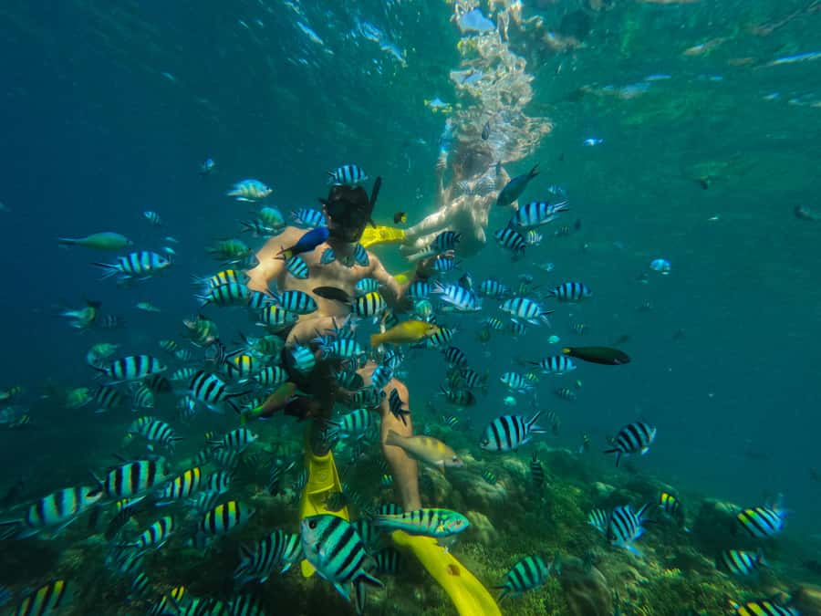 Lombok: Gili Nanggu, Sudak, & Gili Kedis Private Snorkeling - Price and What Makes $48 Feel Like Good Value