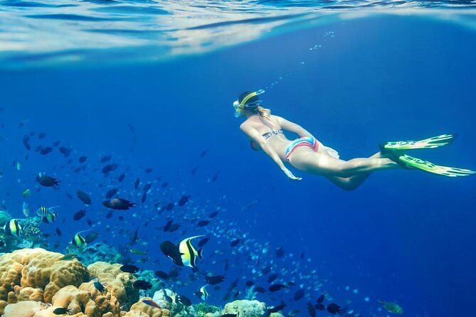Lombok Pink Beach Boat Trip (Full Day + Snorkeling) - Gili Gambir: Where the Reef Time Likely Feels Best