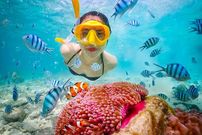 Lombok Pink Beach Boat Trip (Full Day + Snorkeling) - Pantai Pink (Tangsi Beach): What Makes It Pink, and What If It Is Not