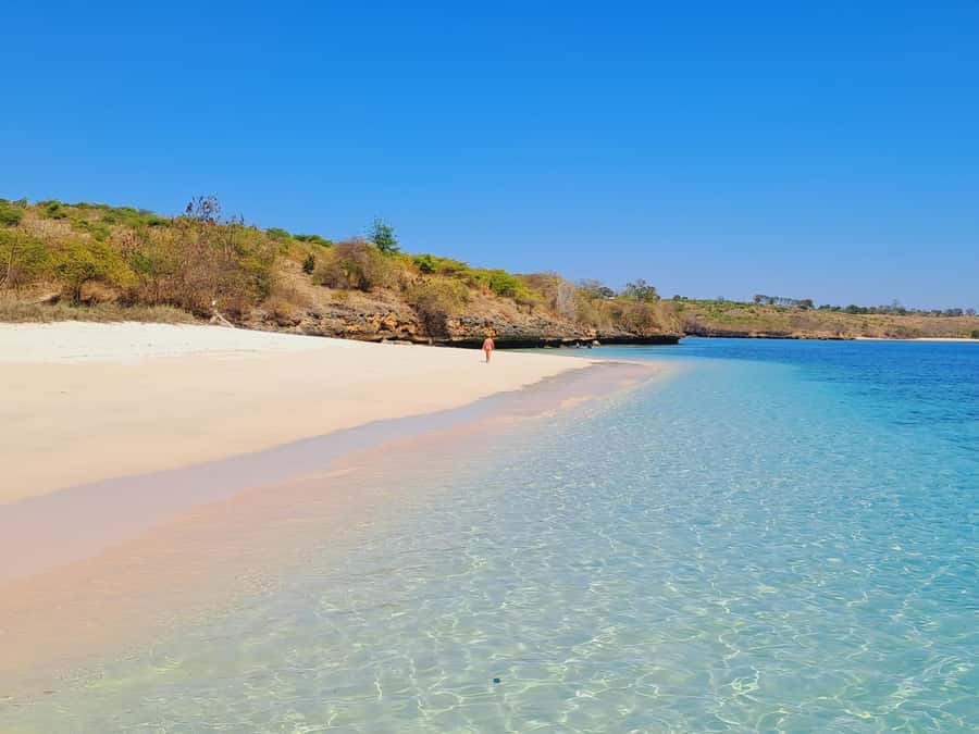 Lombok: Pink Beach, Snorkeling, & Tanjung Ringgit Tour - Morning Pickup to Telong Elong Harbour: The Clock Starts Early