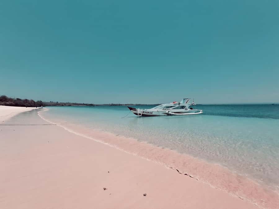 Lombok: Pink Beach, Snorkeling, & Tanjung Ringgit Tour - Gili Petelu Snorkeling: Fish Feeding, Coral, and a Lot of Time in the Water