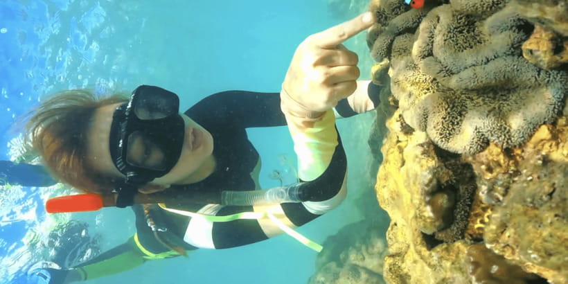 Lombok:Privat Snorkeling Gili Nanggu,Gili Sudak,Gili Kedis. - Price and value: what $64 per person really includes