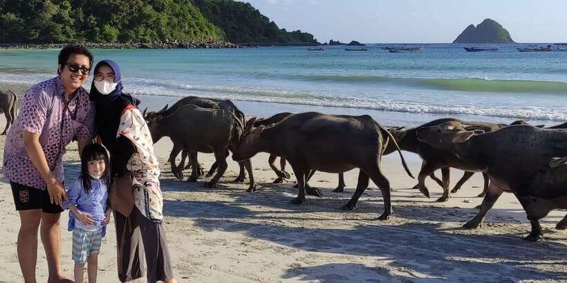 Lombok Private Car with Driver - Wildlife park and volcano-style stops, if your driver has a good plan