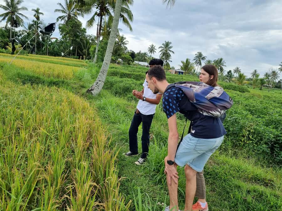 Lombok: Private Customizable Tour with Driver-Guide - Key things that make this Lombok private tour work well