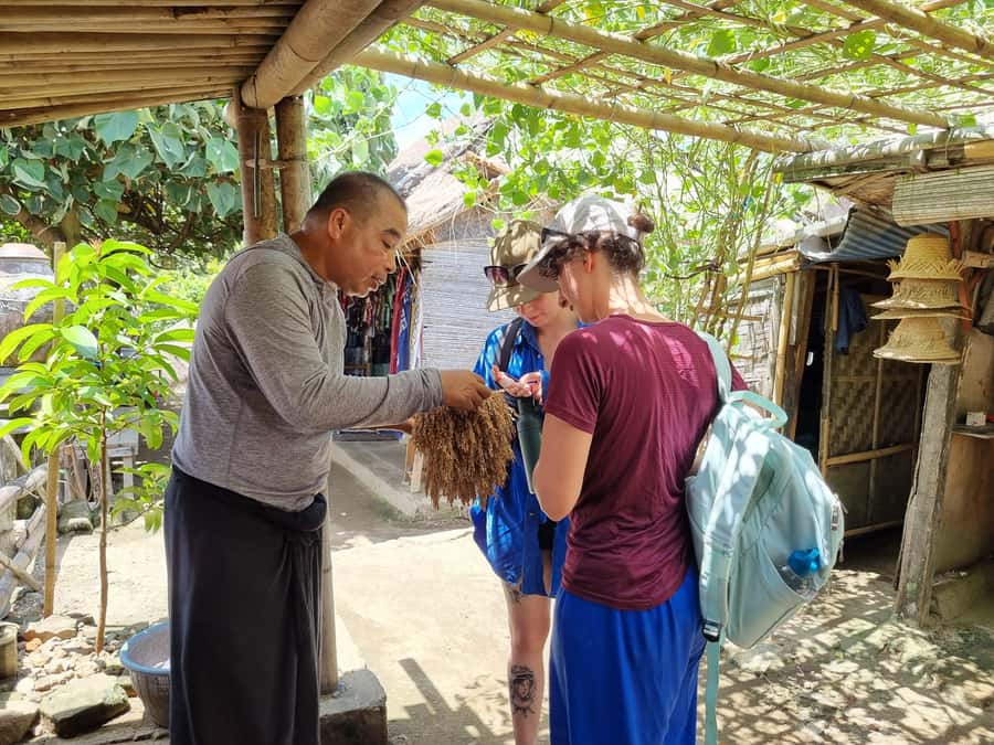 Lombok: Private Customizable Tour with Driver-Guide - Meeting at 9:00 AM, then turning your interests into a real plan