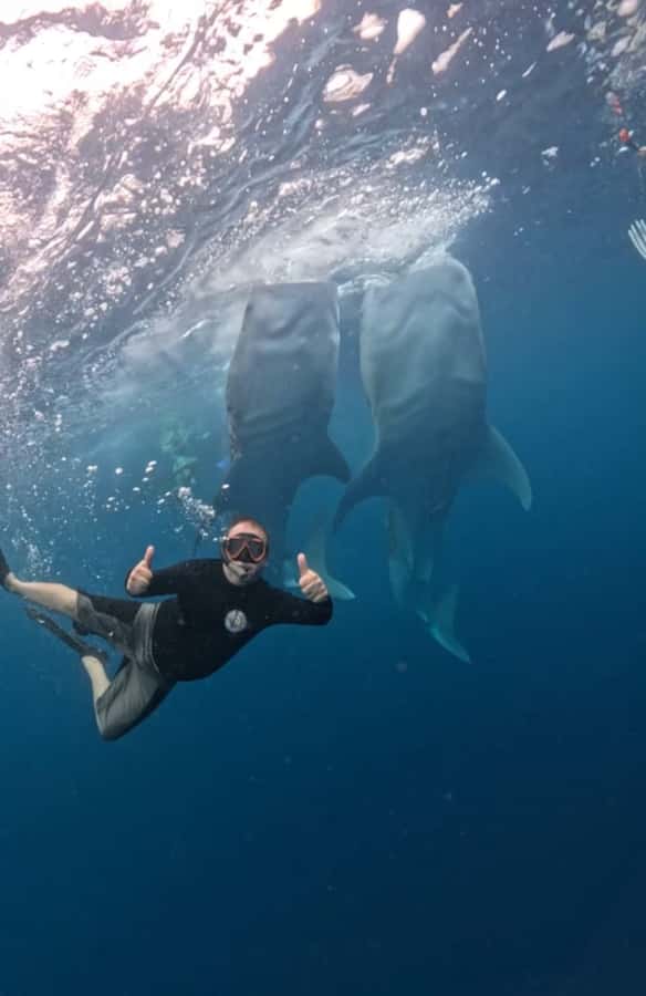 Lombok : Sharing Whale Shark Tour 2 Day 1 Night Sumbawa - Day 1 route: Kayangan ferry, Sumbawa Besar stop, and Labuan Jambu hotel check-in