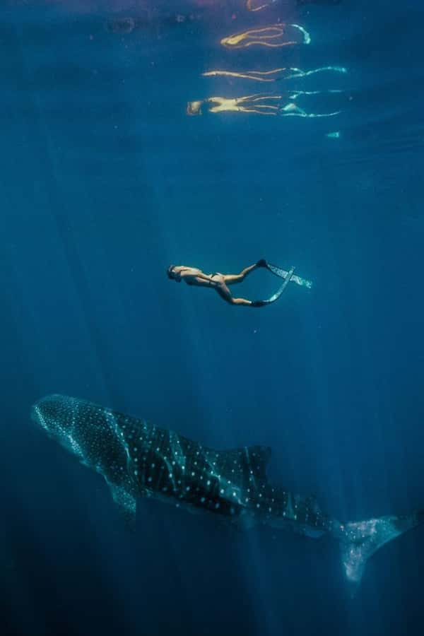 Lombok : Sharing Whale Shark Tour 2 Day 1 Night Sumbawa - Meeting in Mataram at Pratama Hotel and the start time rhythm