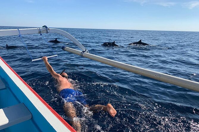 Lovina Dolphin Watching, Swimming, and Snorkeling Experience - Quick Hits Before You Go
