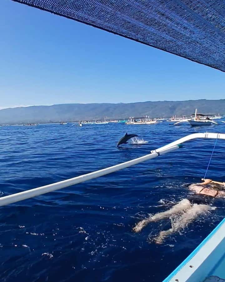 Lovina : SPECIAL FULL TRIP dolphin watch, swim, and snorkel - Why Lovina Sunrise Dolphin Watching Feels Like a Real Morning at Sea