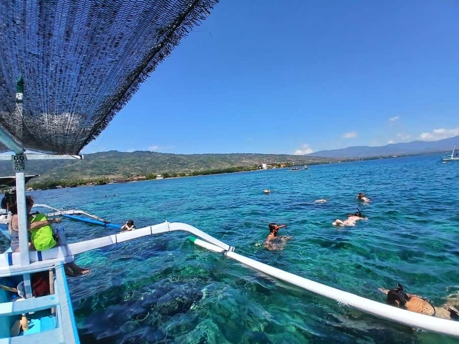 Lovina : SPECIAL FULL TRIP dolphin watch, swim, and snorkel - Food, Music, and Small Comforts That Matter at 4 AM