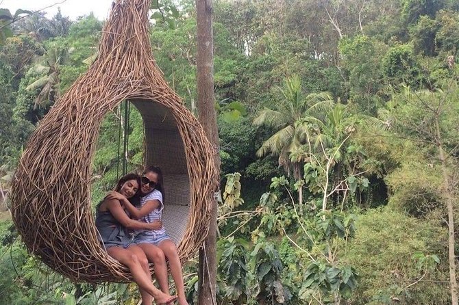 Magic Of Ubud Temple Swing And Waterfall Private Guided Tour - Tampaksiring tea and a calmer village stop before Tirta Empul
