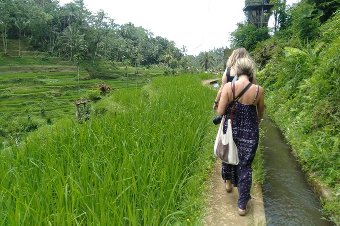 Magic Of Ubud Temple Swing And Waterfall Private Guided Tour - Price and logistics: what you get for about $23.85