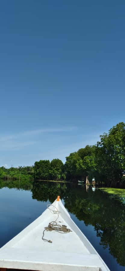 Maros : Rammang Rammang walk & boat trip - Key highlights
