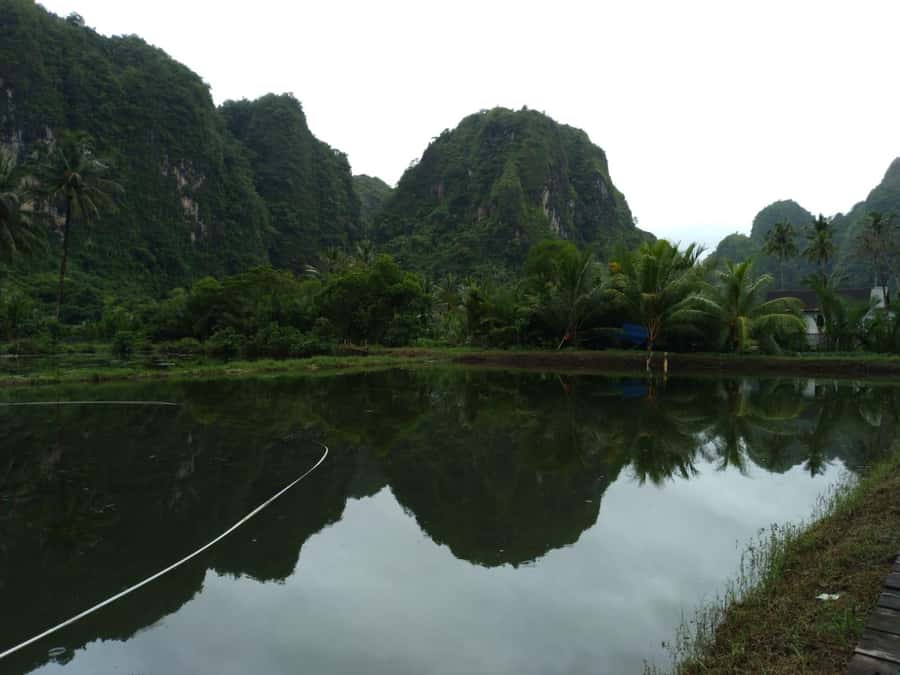 Maros : Rammang Rammang walk & boat trip - Lunch at a Local House, Good Food That Feels Like the Day