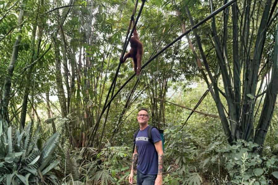 Medan: Mount Leuser National Park Full-Day Trip - Key highlights you’ll feel right away