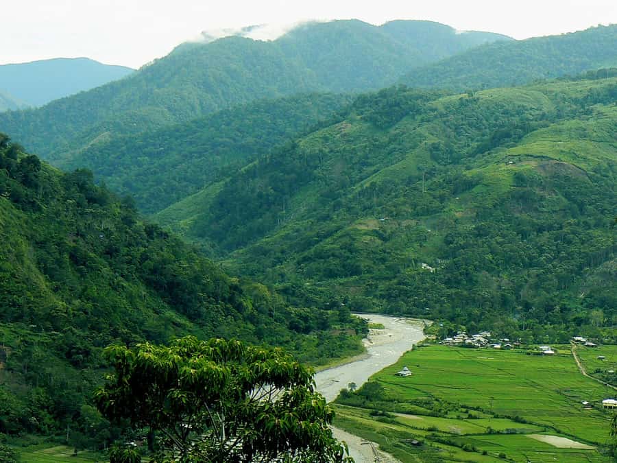 Medan: Mount Leuser National Park Full-Day Trip - Budget and value: does $129 buy a day worth it?