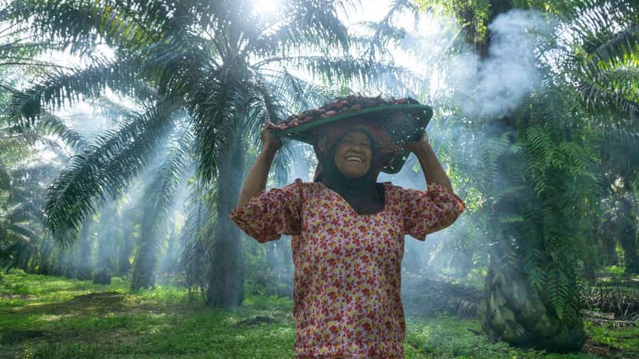 Medan: Mount Leuser National Park Full-Day Trip - Getting back to Medan and what to pack for comfort